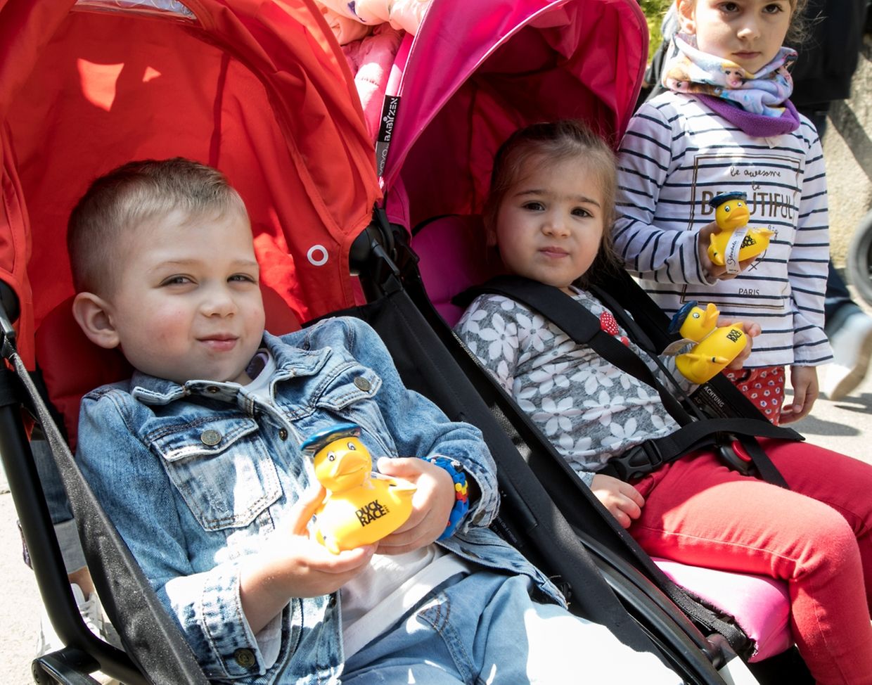 Luxembourg Duck Race 2017 Photo: Guy Jallay