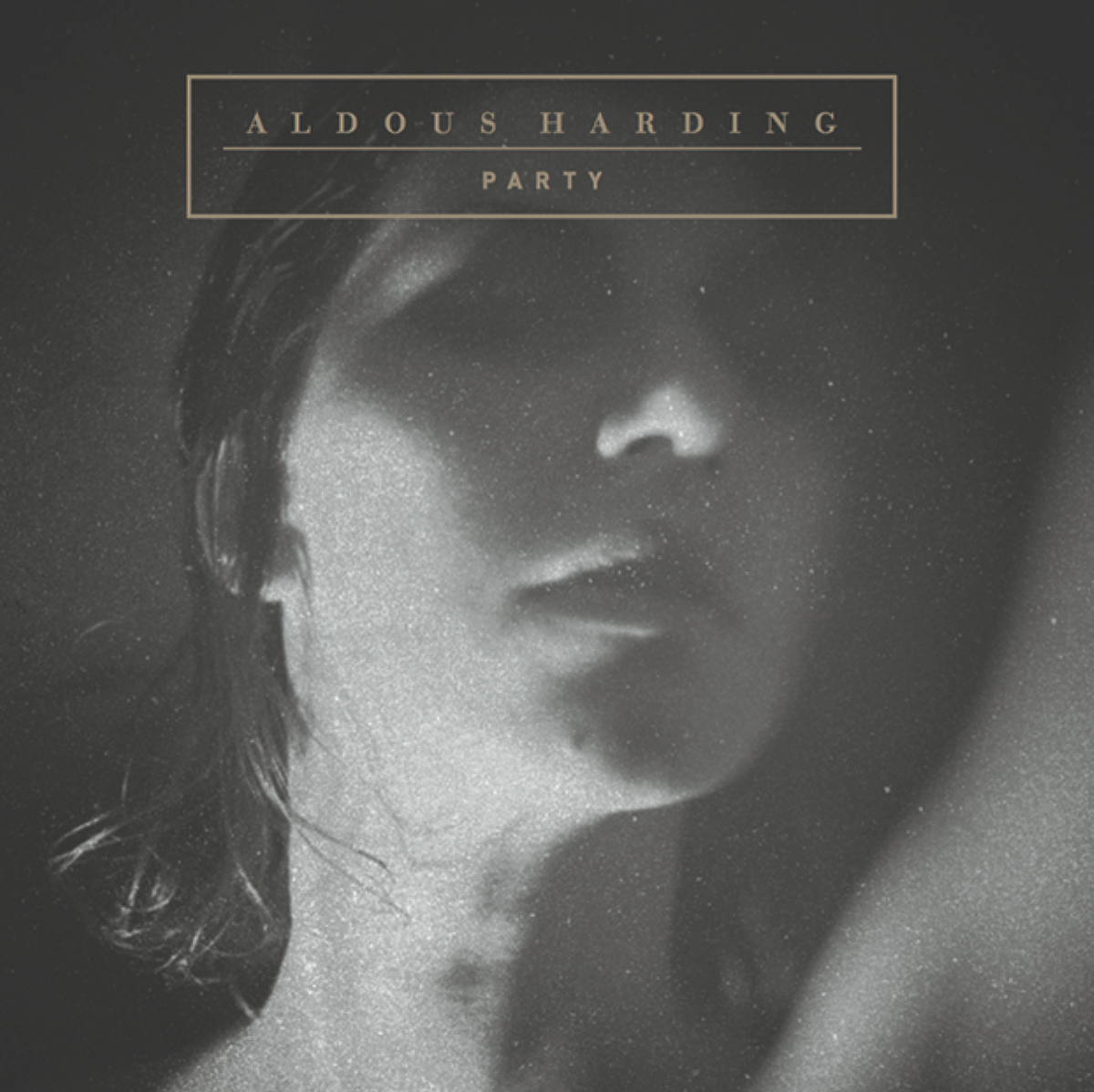 Aldous Harding  „Party“ 
Label: 4AD
9 Songs / 38:44 Min.
13,99 Euro
www.aldousharding.com