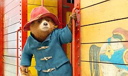 Neste Natal veja um filme com um urso em vez de um com renas.