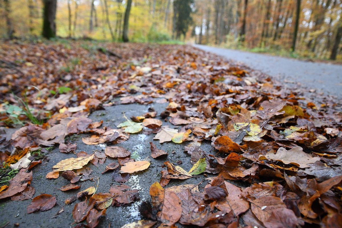 Die Markierungen auf der Fahrbahn erscheinen älter..