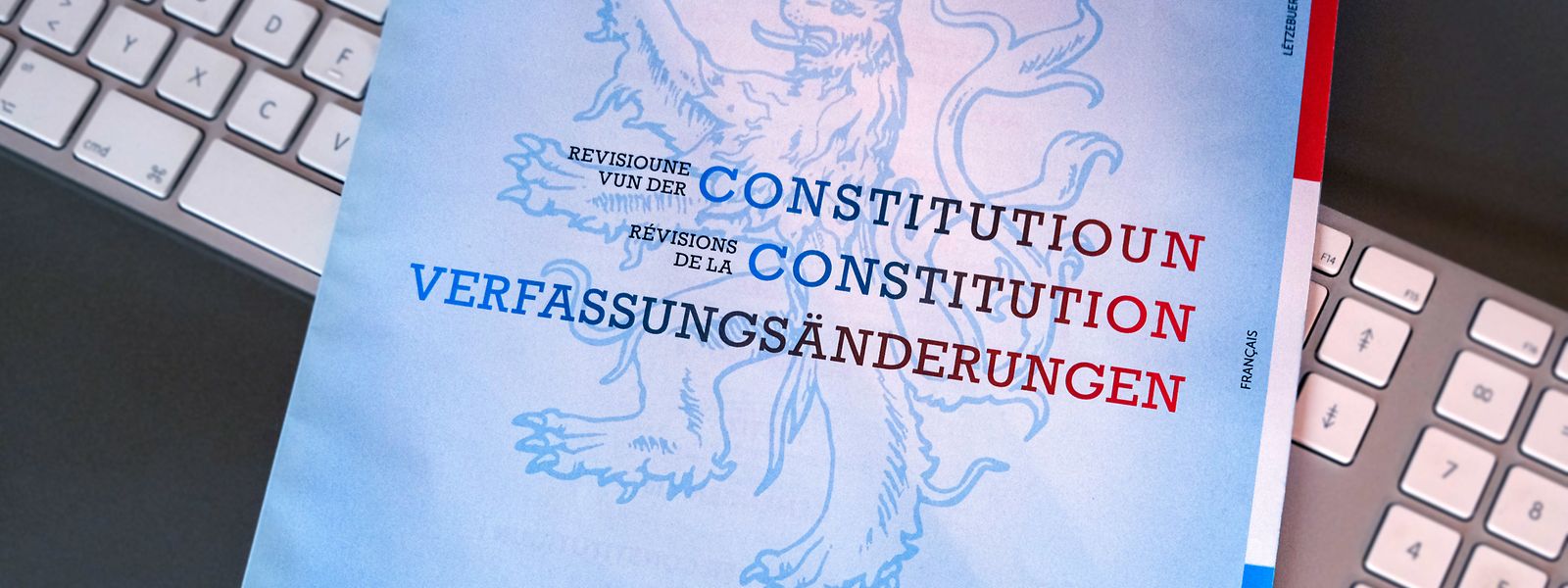 In dem Kapitel, über das heute abgestimmt wird, geht es um die Staatsform, die Monarchie und die nationalen Symbole. 