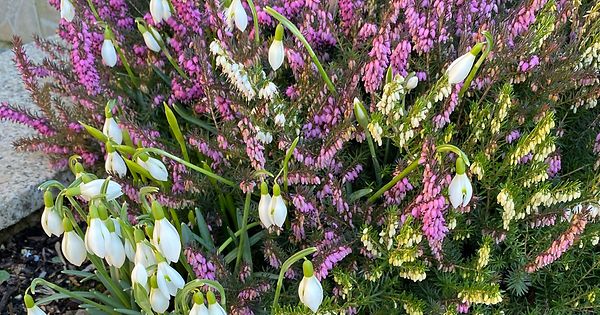 mywort - vive l’arrivée du printemps