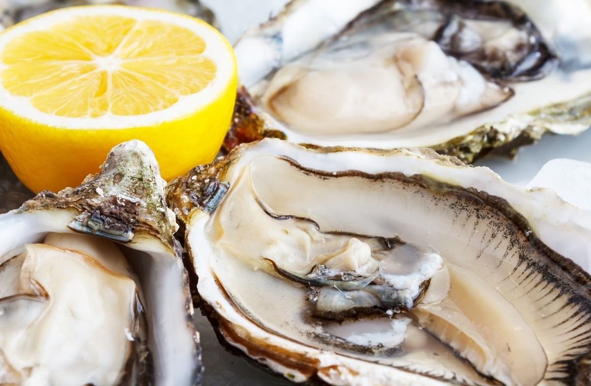 Four different variety of oyster at Amarine 