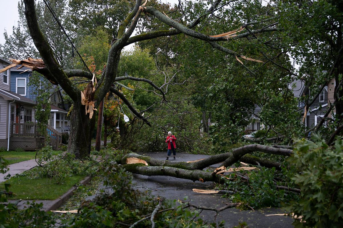 In Halifax sind zahlreiche Straßen wegen umgestürzter Bäume unpassierbar geworden.