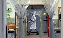 An employee wearing a face mask works inside the PastryStar warehouse on May 4, 2020, in Laurel, Maryland. - At the Picou family's factory in Laurel, Maryland outside the US capital, the only workshop that is buzzing is usually reserved for making jams for baking. Now, it's churning out hand sanitizer. Before the coronavirus pandemic, PastryStar -- founded stateside in 1986 -- made a wide array of products for high-end baking, supplying everything from chic restaurants to cruise lines. (Photo by Olivier DOULIERY / AFP)