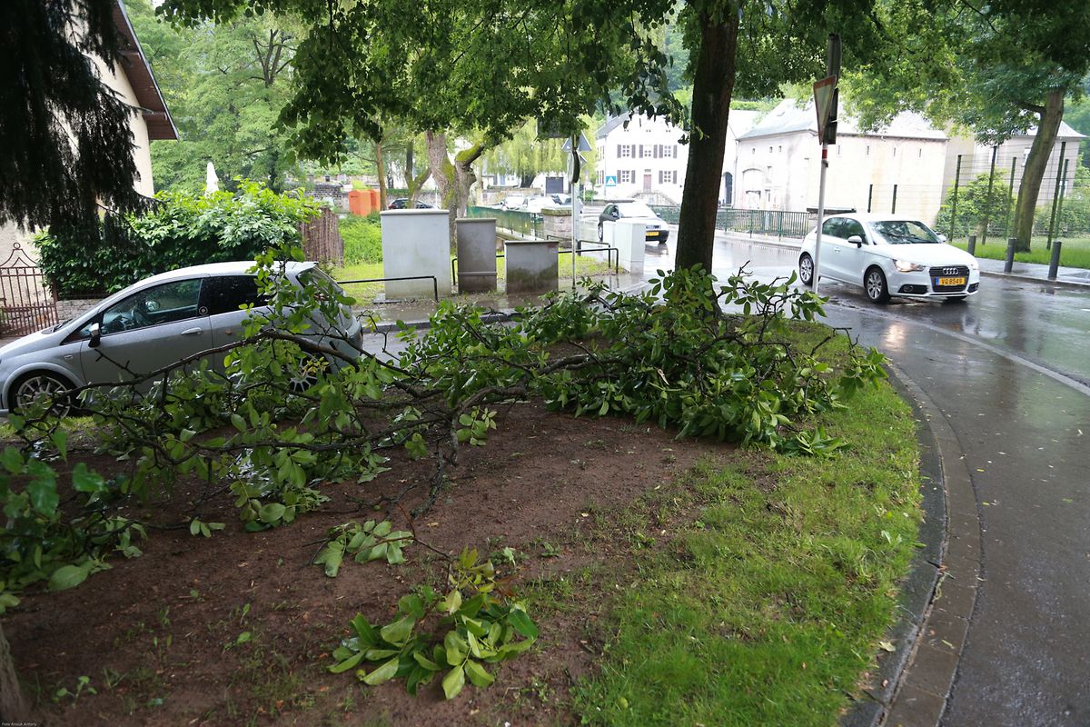 Beschädigte Bäume im Pfaffenthal.