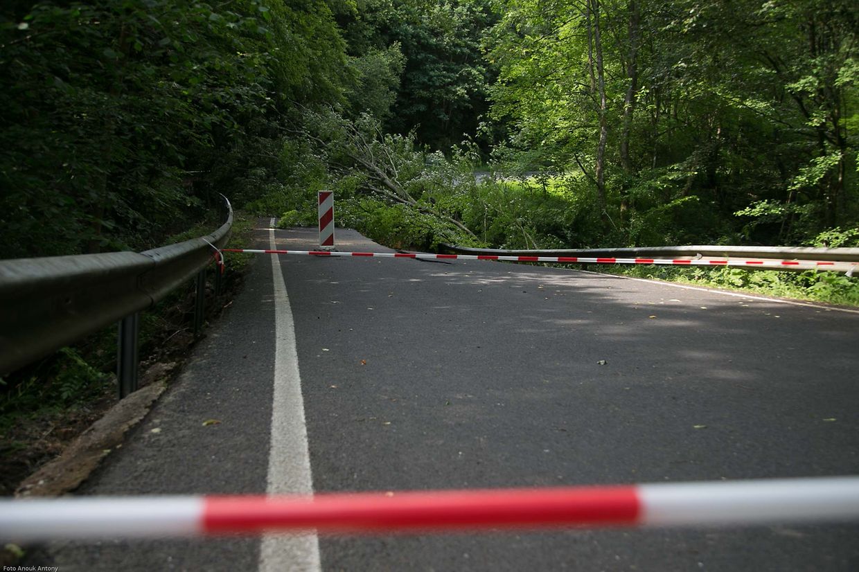 4.6.2018 Luxembourg, Mëllerdall, vu Haller a Richtung Beaufort  CR 128 photo Anouk Antony