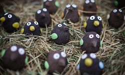 Nouspelter Émaischen - Photo : Pierre Matgé