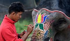 Perfektes Make-up: Ein Mahut schmückt seinen Elefanten für den Festzug im Rahmen des „Chitwan Elephant Festival“.