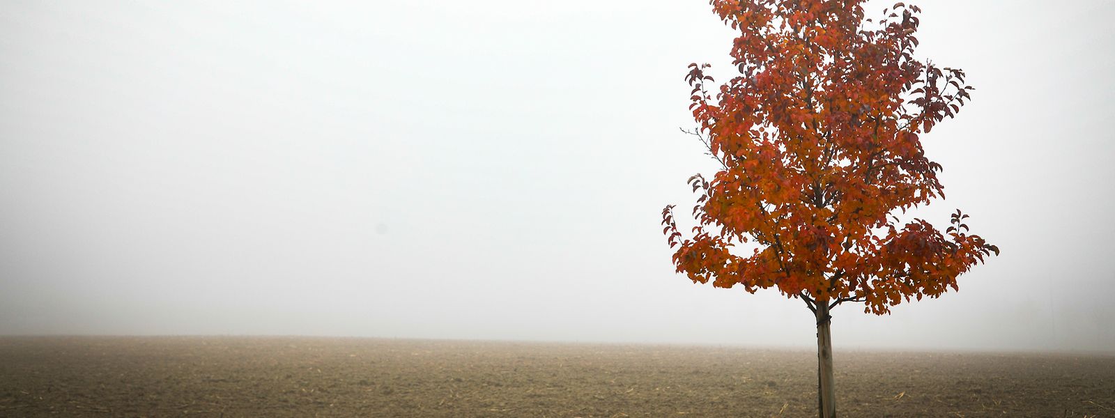 Nebel war im Herbst ein Thema und bleibt es auch weiterhin.