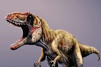 Forscher fanden fossile Überreste des Dinosauriers mit dem Namen Siats meekerorum im Gebiet des heutigen US-Bundesstaats Utah.