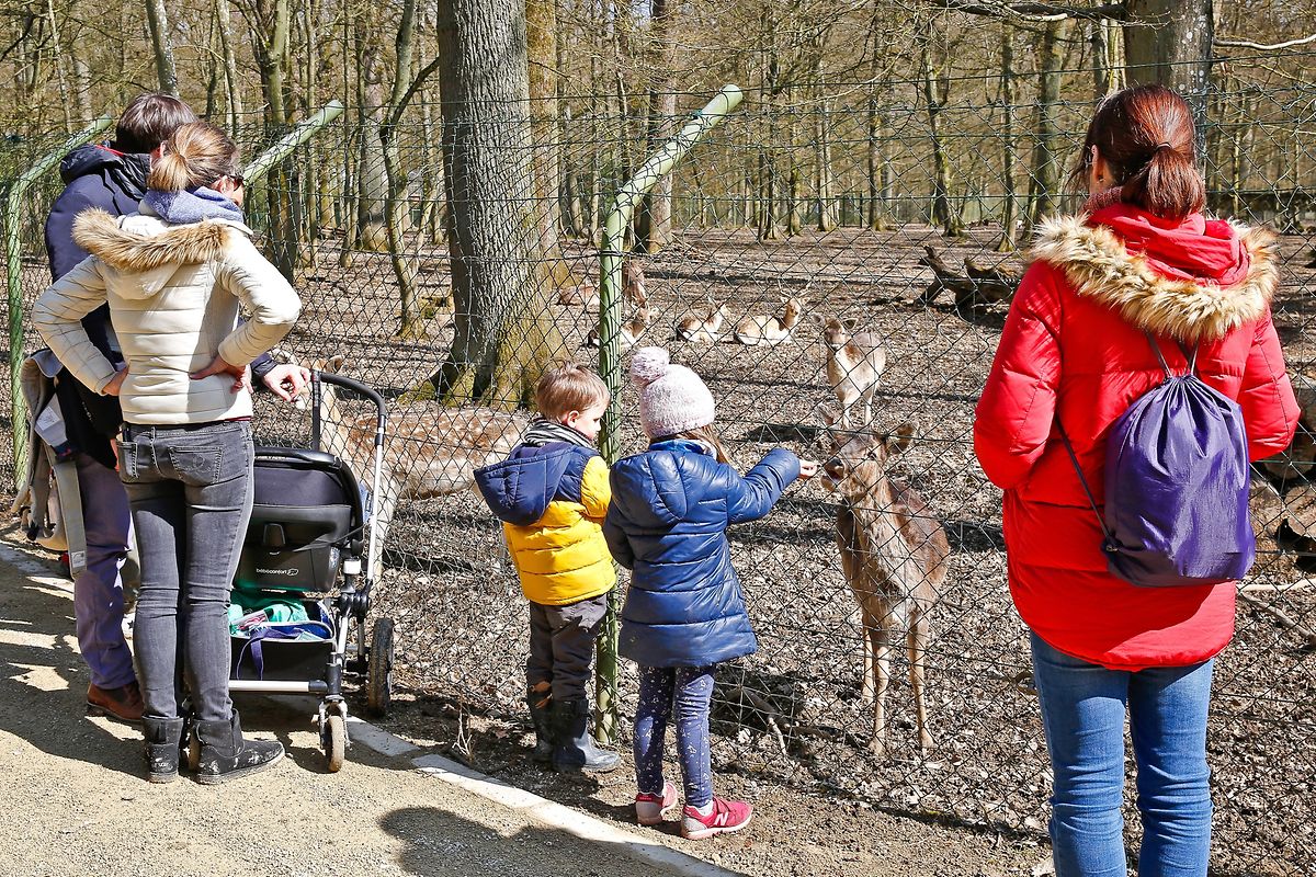 Erster Tag der Eröffnung / Foto: Lucien WOLFF