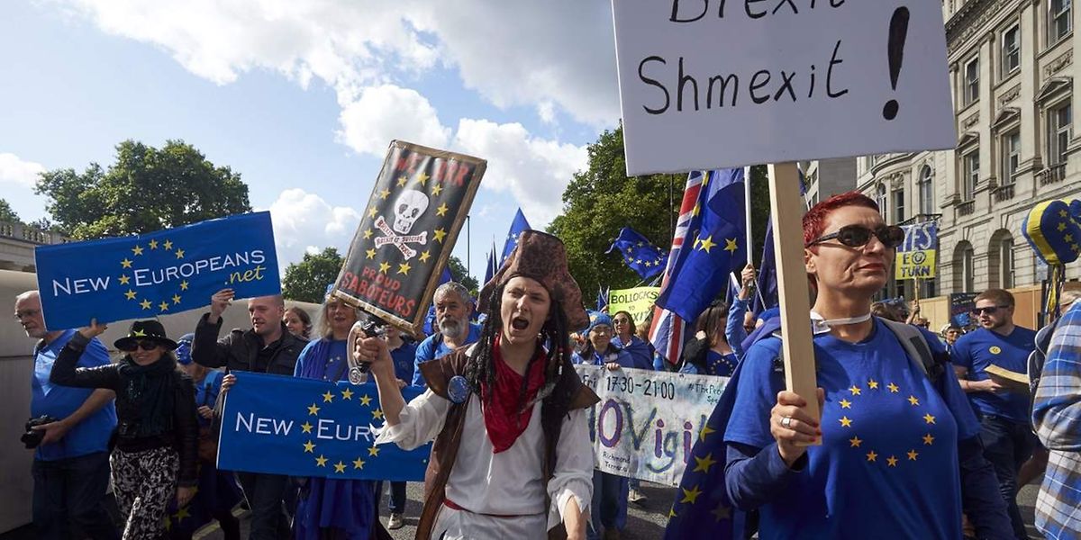 Die Demonstranten schwenkten EU-Fahnen und protestierten gegen den EU-Austritt.