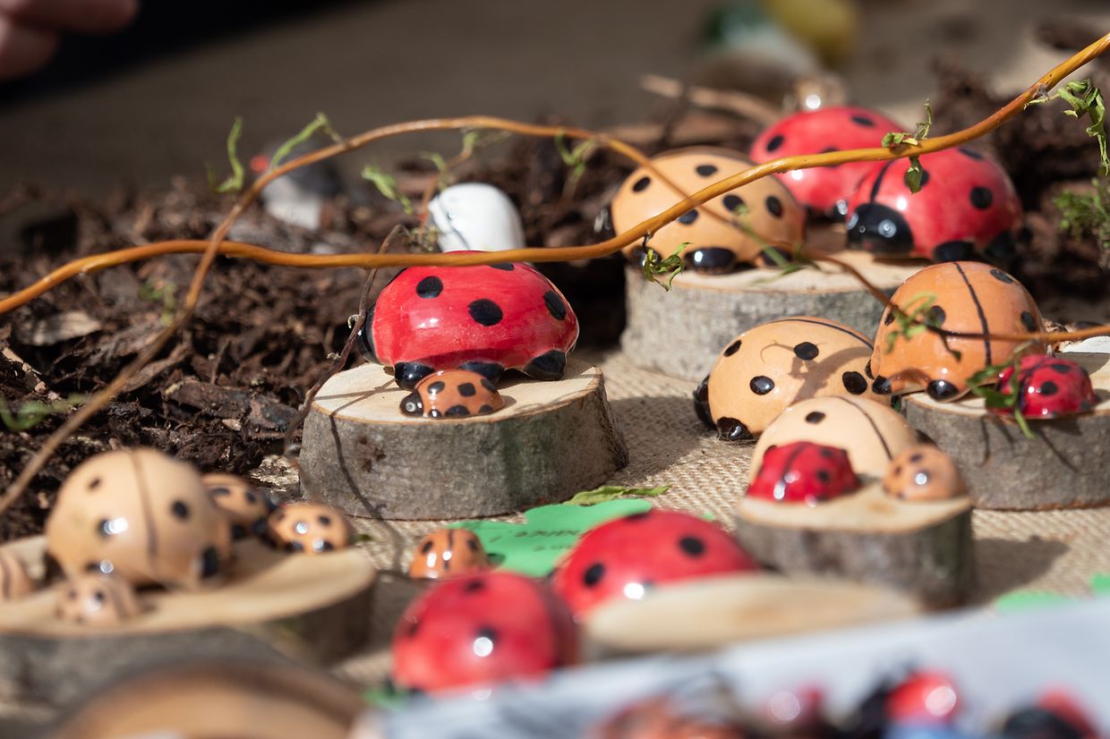 Viele bunte Punkte: die Émaischen in Nospelt. 