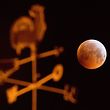 21.01.2019, Niedersachsen, Laatzen: Verdunkelt zeigt sich der Vollmond als sogenannter «Blutmond» und erscheint dabei rötlich - fotografiert hinter einem Wetterhahn auf einem Hausdach. Mond, Sonne und Erde stehen bei einer Mondfinsternis genau in einer Linie. Foto: Julian Stratenschulte/dpa +++ dpa-Bildfunk +++