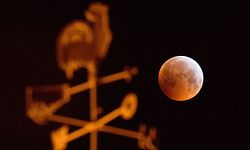 21.01.2019, Niedersachsen, Laatzen: Verdunkelt zeigt sich der Vollmond als sogenannter «Blutmond» und erscheint dabei rötlich - fotografiert hinter einem Wetterhahn auf einem Hausdach. Mond, Sonne und Erde stehen bei einer Mondfinsternis genau in einer Linie. Foto: Julian Stratenschulte/dpa +++ dpa-Bildfunk +++