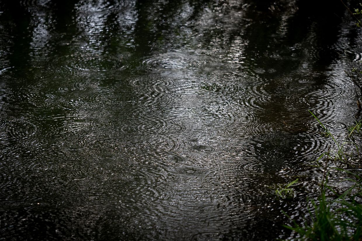 Sanem - Sanem -  - 05/05/2019 - photo: claude piscitelli