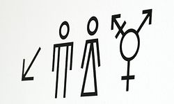 ARCHIV - 23.05.2022, Berlin: Piktogramme weisen auf Toiletten für Männer, Frauen und Allgender/Transgender hin. (zu dpa "Pubertätsblocker: Hoher Preis um Zeit zu gewinnen - «nicht leichtfertig»") Foto: Jens Kalaene/dpa +++ dpa-Bildfunk +++
