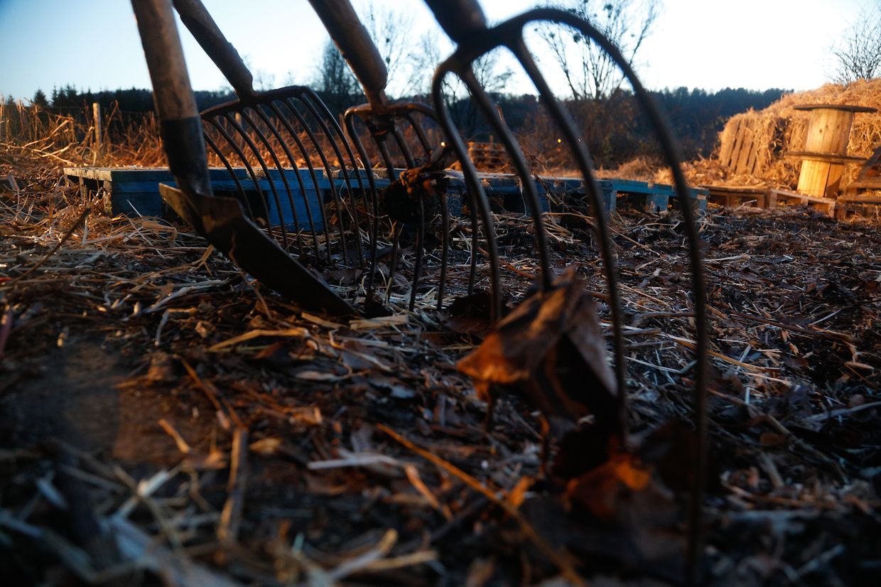 Sie wurde jedoch ohne Zuschauer abgebrannt - dafür aber in Begleitung von jeder Menge Technik.