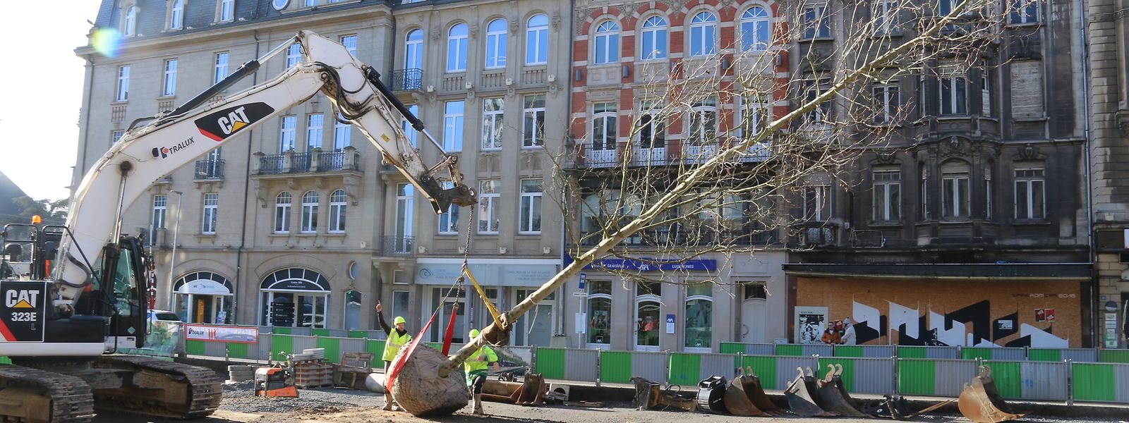Bis März werden 69 Platanen in der Avenue de la Liberté verpflanzt. 