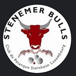 Steenemer Bulls