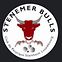 Steenemer Bulls