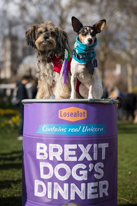  London: Hunde sitzen während einer Anti-Brexit Veranstaltung auf einer riesigen Hundefutterdose, auf der "Brexit Dog's Dinner" steht.