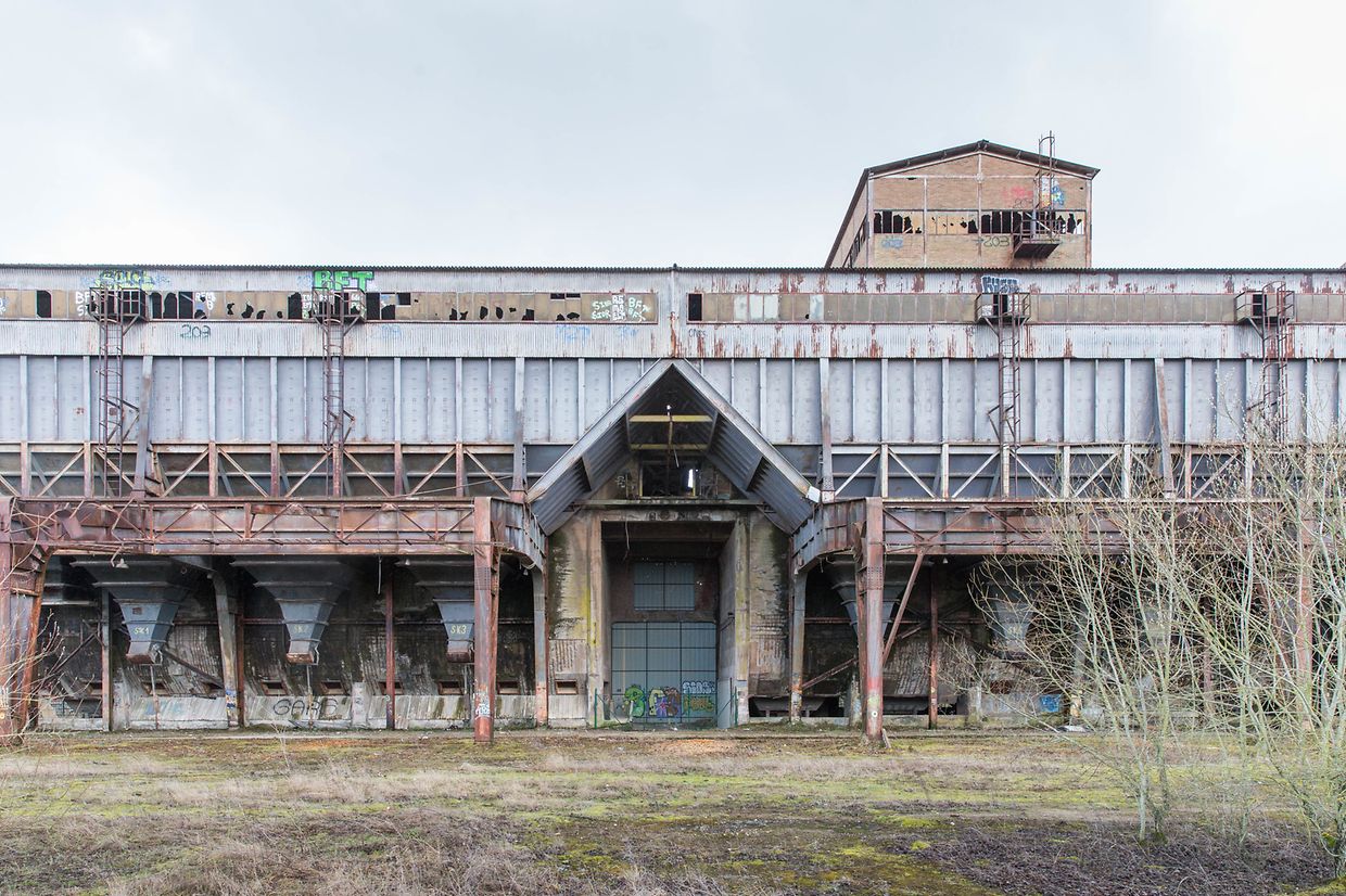 Die Siloreihe, die nicht erhalten bleiben soll, vom Werk aus gesehen. 