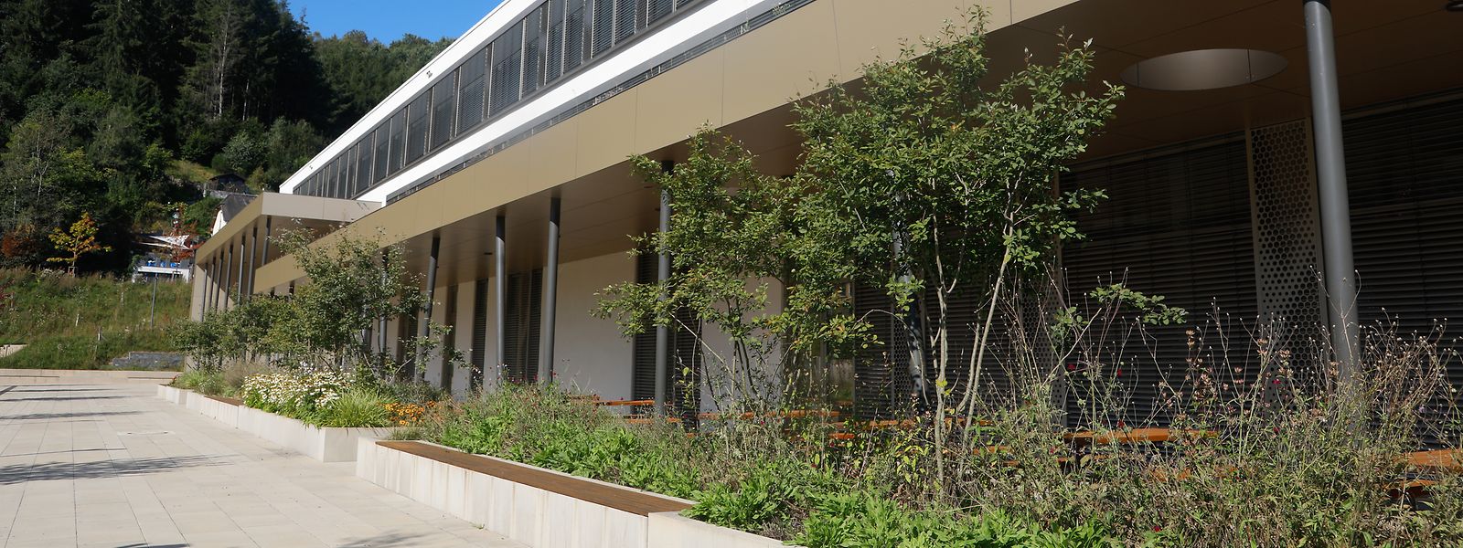 Das 2018 eingeweihte Lycée Edward Steichen soll bis 2026 einen Ausbau erhalten, die Arbeiten beginnen Anfang 2023. Von zunächst rund 180 ist die Schülerzahl auf mittlerweile 720 gestiegen.
