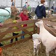 Die "Foire agricole": Landwirtschaft hautnah!