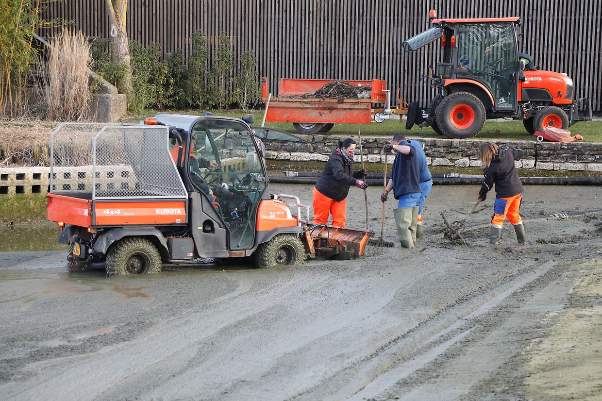 Im Laufe der Zeit hat sich jede Menge Schmutz - in der Hauptsache Exkremente der Tiere und Brotreste - angesammelt.