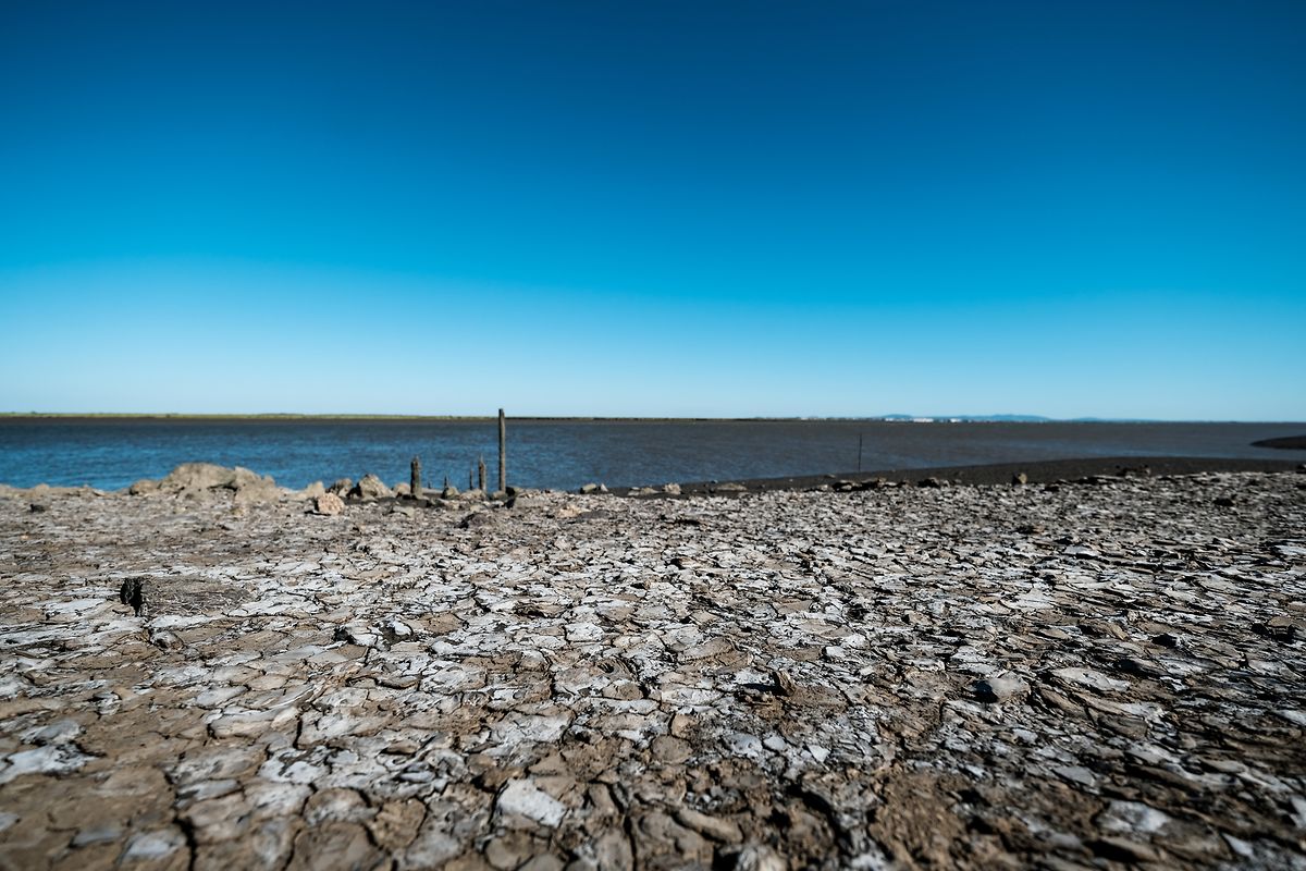 A terra está seca e salgada no lugar o Tejo recebe um dos seus afluentes, o Sorraia.
