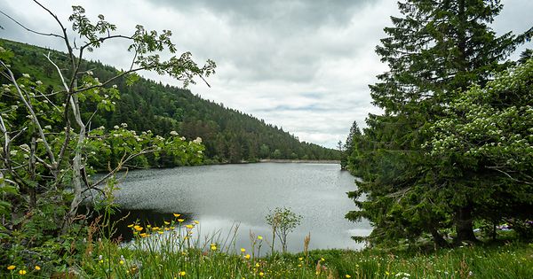 I Vosges, et veikryss av nye gassruter