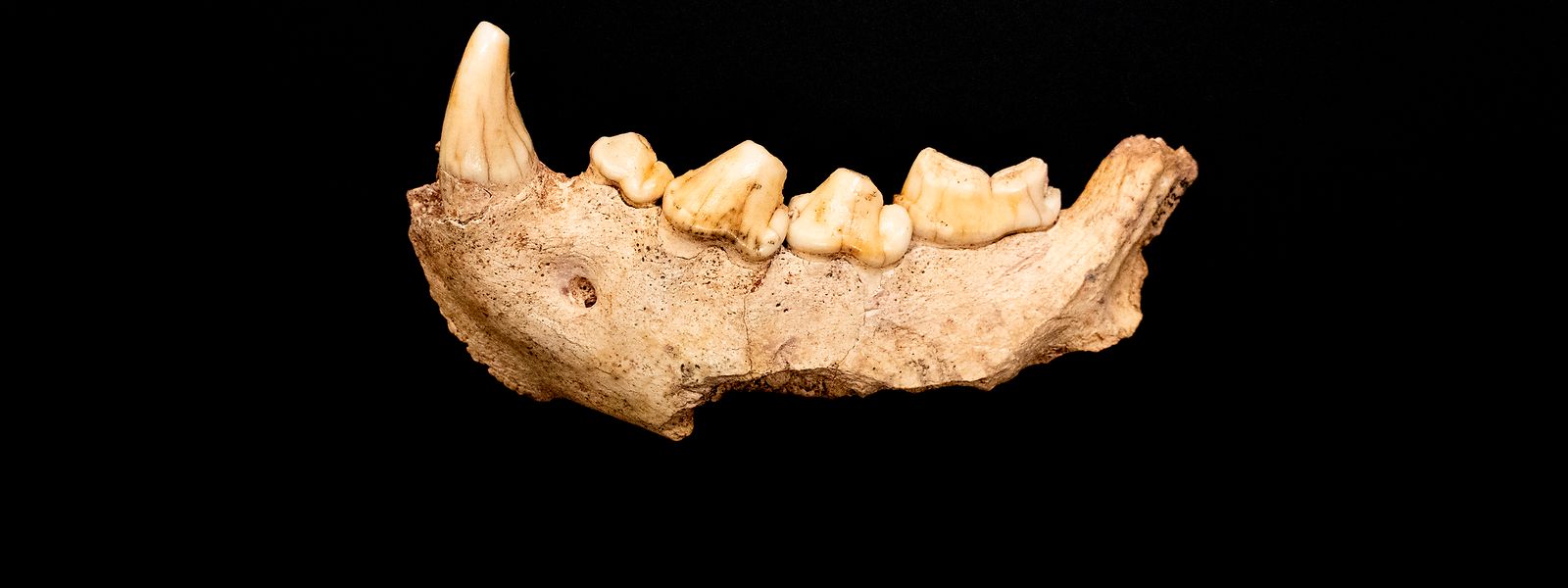 Ein Fund aus der Guattari-Höhle am Circeo-Berg zwischen Rom und Neapel in Italien aus dem Jahr 2020