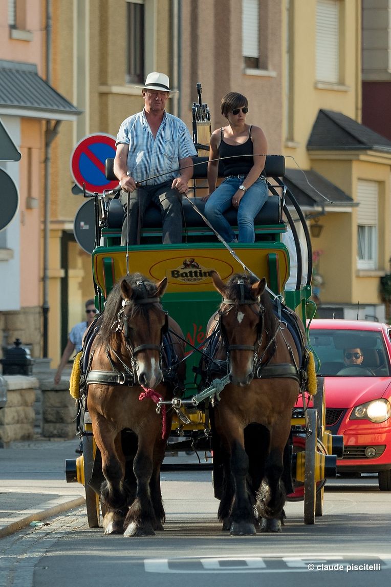 Schmit HAPPENS -  Let's Hopp! - centre sportif Oberkorn - Differdange - 14.06.2017 © claude piscitelli