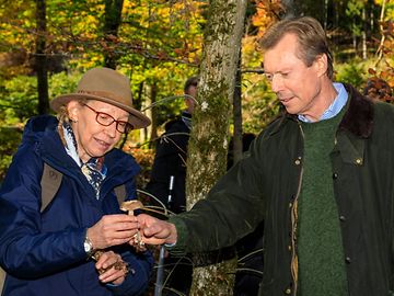 Müllerthal: Grão-Duque Henri partiu à descoberta dos cogumelos do país