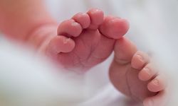 ARCHIV - 22.08.2016, Dresden: ILLUSTRATION - Ein S‰ugling liegt in einem Bett auf der Wochenstation im Universit‰tsklinikum. Die Zahl der Neugeborenen in Nordrhein-Westfalen ist zuletzt leicht angestiegen. Im vergangenen Jahr kamen 173 150 Kinder zur Welt, wie das Statistisches Landesamt am Montag mitteilte. Foto: Arno Burgi/zb/dpa +++ dpa-Bildfunk +++