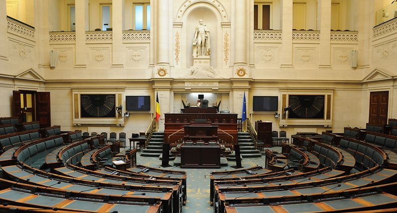Wallons, Flamands, Bruxellois et germanophones se retrouveraient au niveau fédéral dans une seule assemblée élue au suffrage universel.