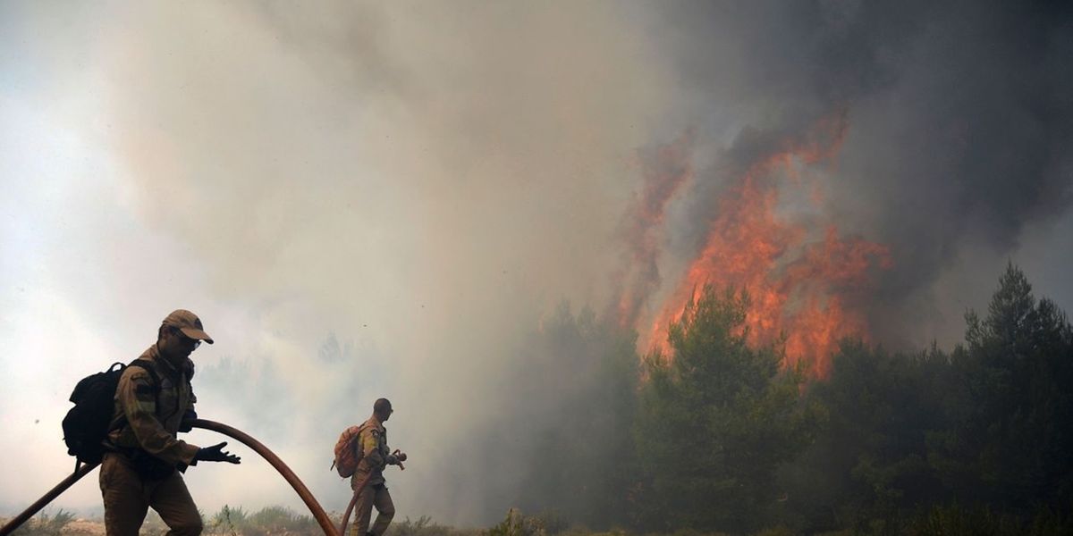 Ein Feuerwehrmann kämpft gegen ein Lauffeuer in der Nähe des Dorfes Kalamos, rund 45 Kilometer von der griechischen Hauptstadt Athen entfernt.
