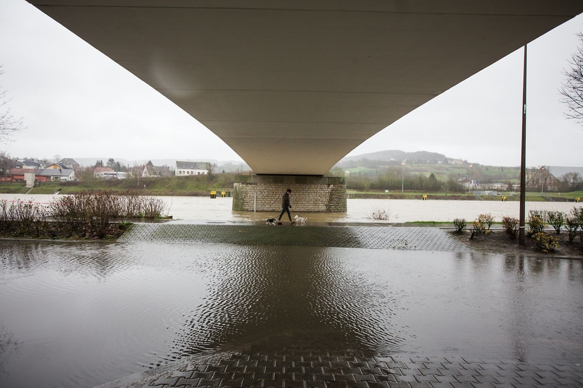 Hochwasser an der Mosel am Donnerstagmorgen.