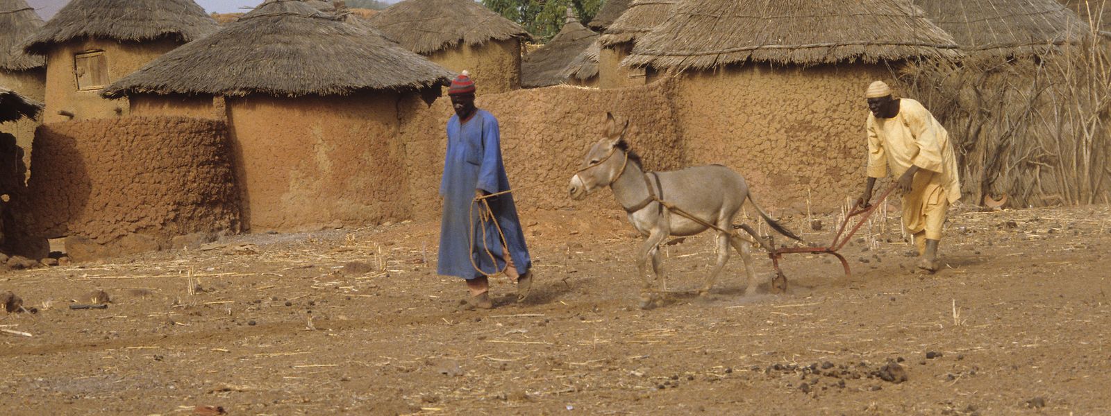 Die Sahelzone, zu der auch Burkina Faso gehört, ist besonders schwer vom Klimawandel betroffen. Hitze- und Dürreperioden nehmen zu, während sich die Sahara immer weiter ausbreitet. Das birgt hohes Konfliktpotenzial im Kampf um die ohnehin schon begrenzten Ressourcen.