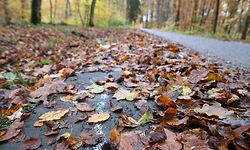 An einem Radweg im Laangebësch bei Leudelingen findet ein Förster heute vor zwei Jahren einen Toten mit Schussverletzung.
