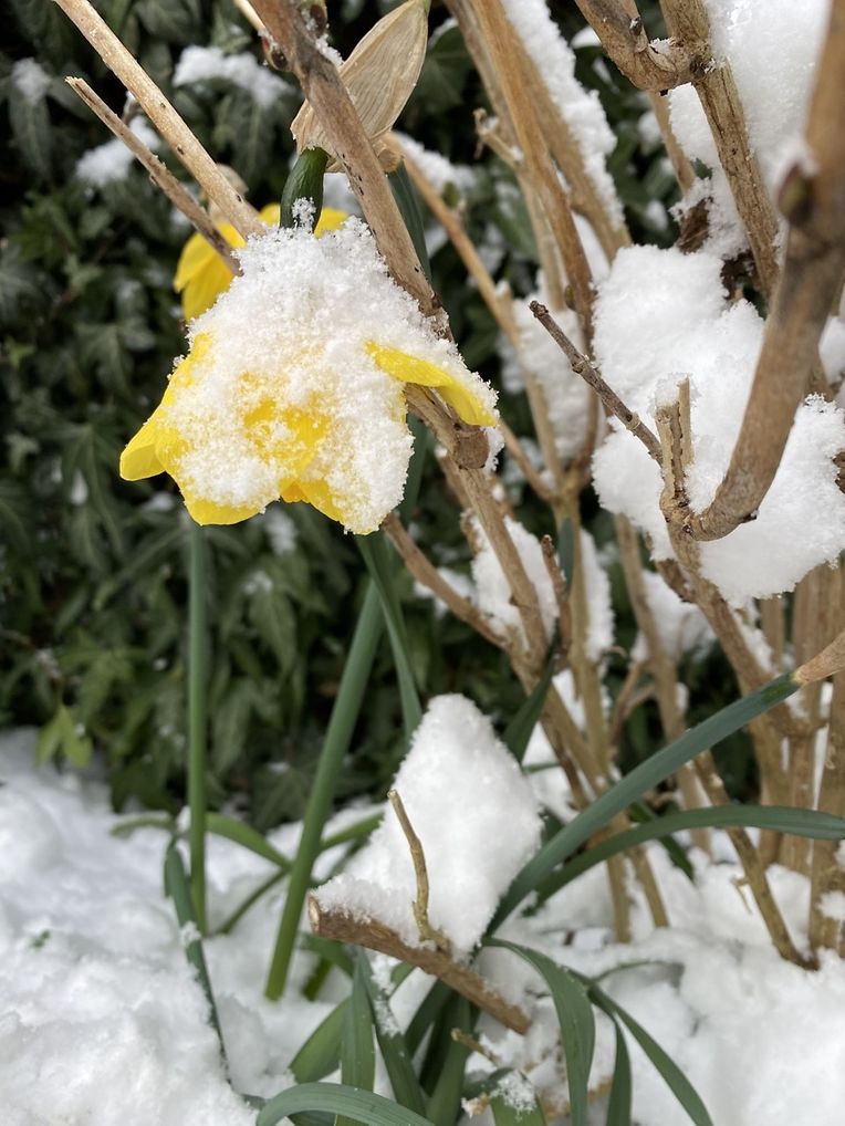 Schnee liegt am Dienstagmorgen über Weiswampach.