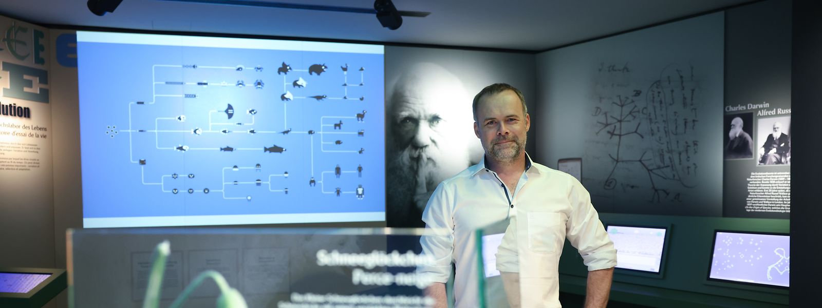 Darwin im Rücken: Patrick Michaely leitet seit 100 Tagen das Nationalmuseum für Naturgeschichte.