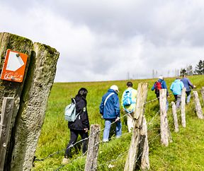 Geführte Wanderungen auf dem "Sentier des Passeurs" in Troisvierges
