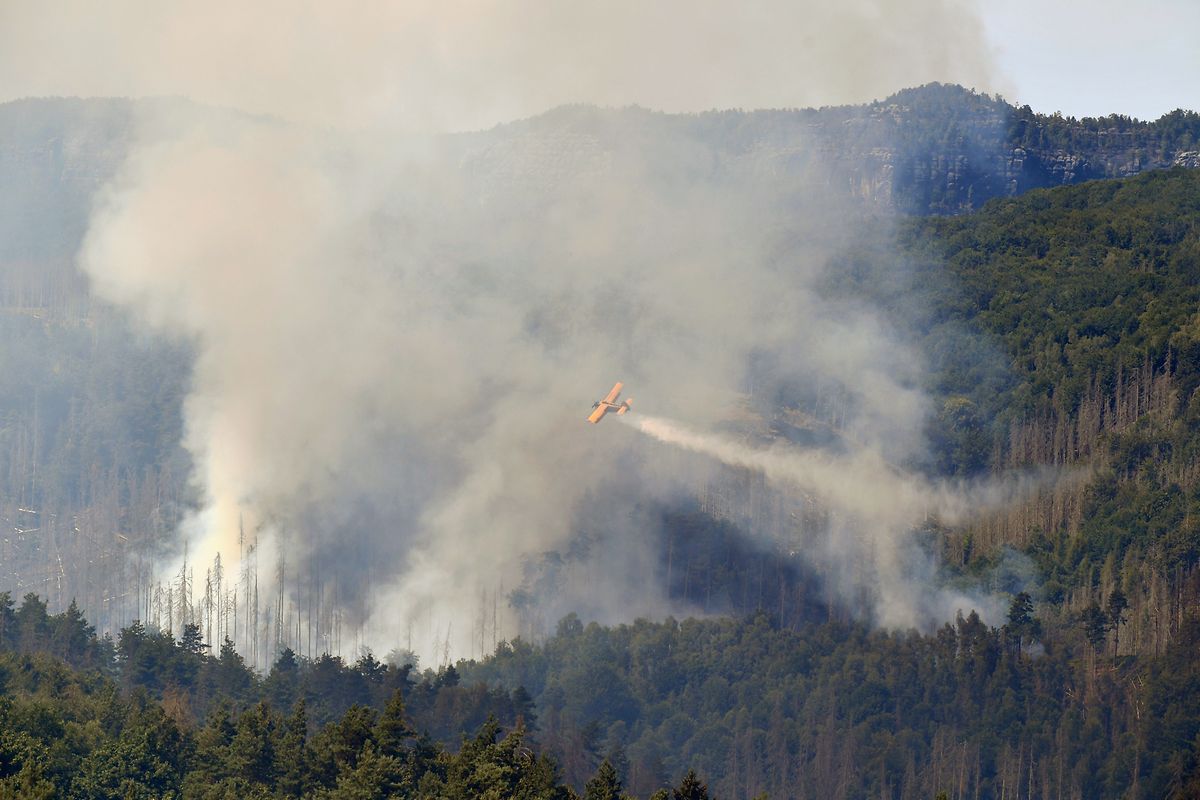 Ein Löschflugzeug ist bei den Waldbränden im Nationalpark Böhmische Schweiz im Einsatz. 