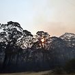A fumaça de um incêndio florestal enche o céu enquanto o sol se põe em Dargan, cerca de 130 quilômetros a noroeste de Sydney, em 18 de dezembro de 2019. - A Austrália experimentou nesta semana seu dia mais quente já registrado e a onda de calor deve piorar, exacerbando uma temporada de incêndios florestais sem precedentes. , disseram as autoridades em 18 de dezembro. (Foto de SAEED KHAN / AFP)