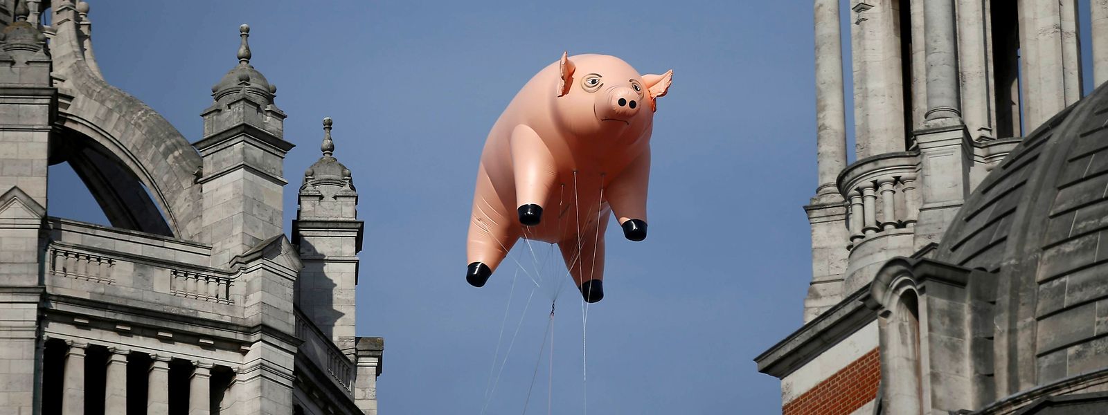  Le cochon gonflable de Pink Floyd. 
