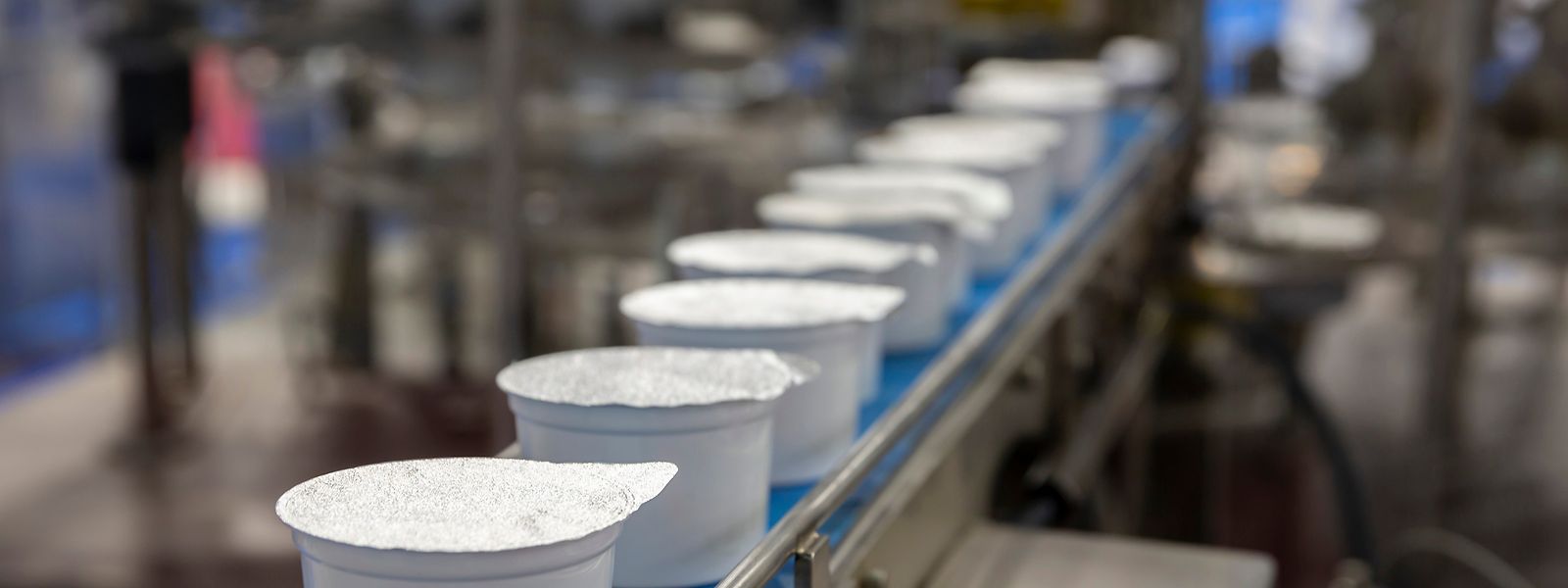 L'usine envisagée sur la Zone Wolser entend fournir 80 tonnes de yaourts grecs pour le marché européen. 