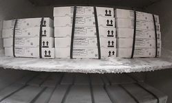 A picture shows boxes containing the Pfizer/BioNTech vaccine in a freezer at an AGEPS (Agence Generale des Equipements et Produits de Sante - General Agency for Health Equipment and Products ) of the Paris public hospitals (AP-HP) warehouse in the Paris suburbs on March 30, 2021, amid the Covid-19 pandemic. (Photo by JOEL SAGET / AFP)